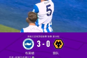华体会体育登录入口-布莱顿3-0狼队，欣谢尔伍德、邓克闪击，明特破门